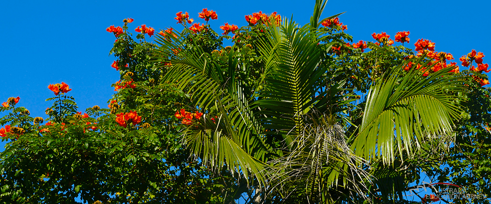 Sprachkurs in toller Landschaft in Australien Sprachkurs in toller Landschaft in Australien