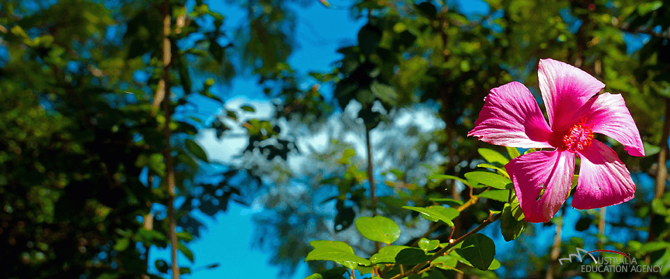 AuPair Programme in wunderschöner Umgebung in Australien AuPair Programme in wunderschöner Umgebung in Australien